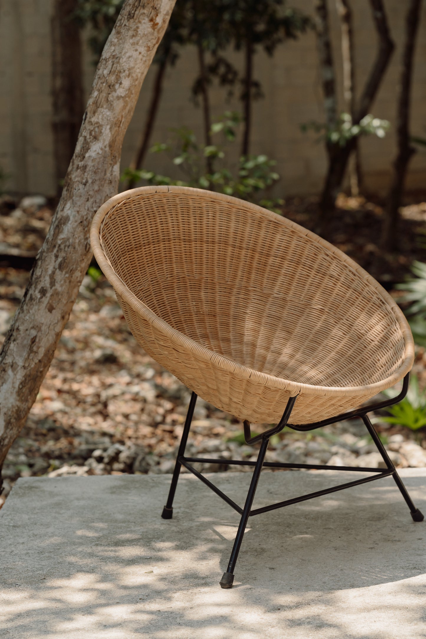 Silla Modelo Venus
